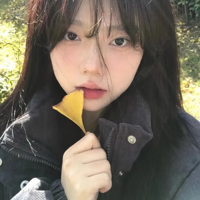 丑闻2024